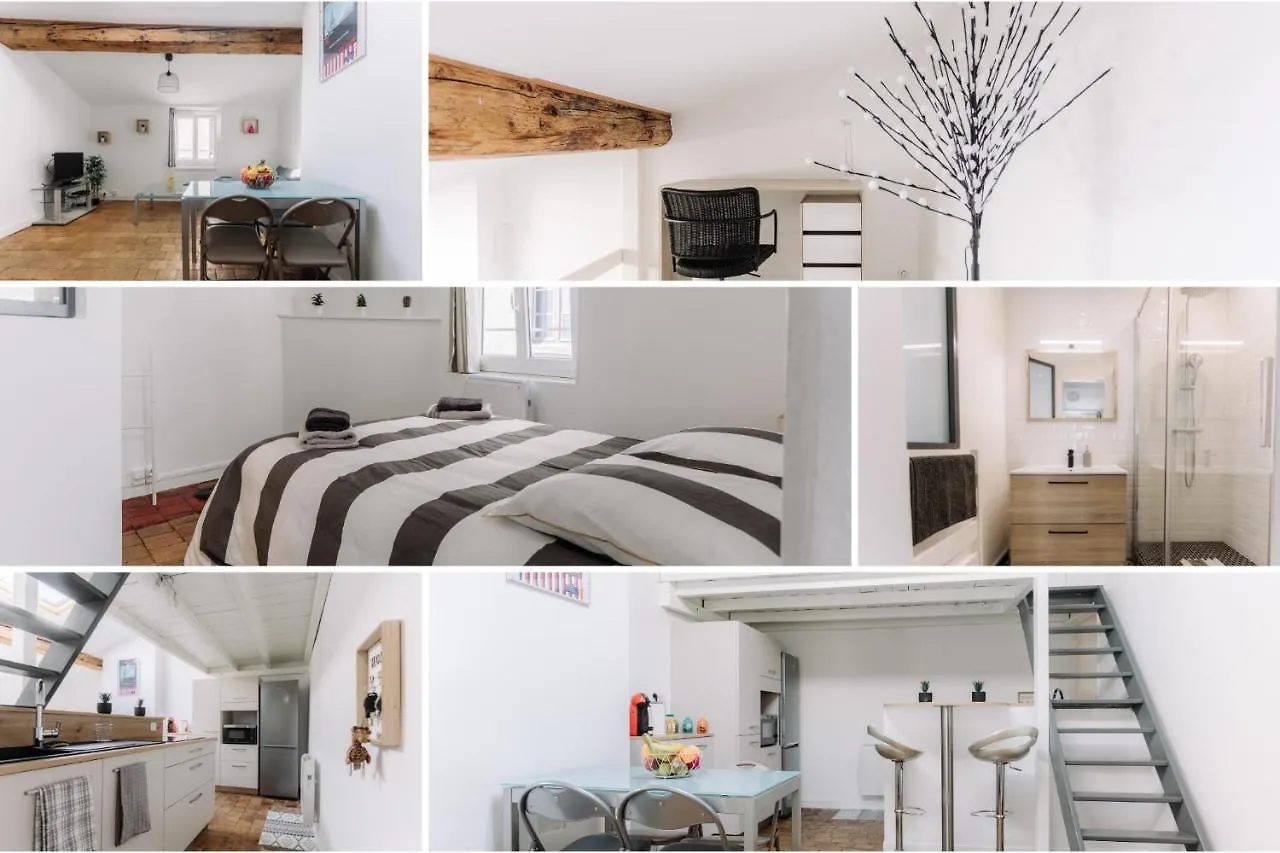 Bnbgones - Le Saint Vincent- Hypercentre Wifi Netflix Lyon France
